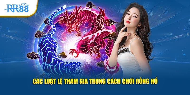 Các luật lệ tham gia trong cách chơi Rồng Hổ